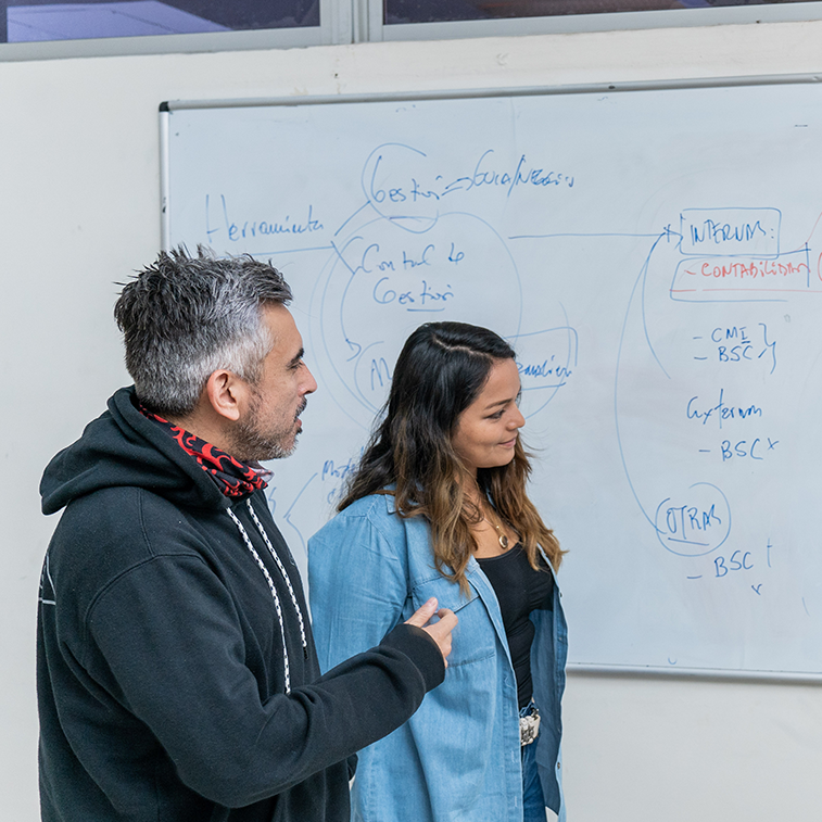 Ingeniería en Control de Gestión